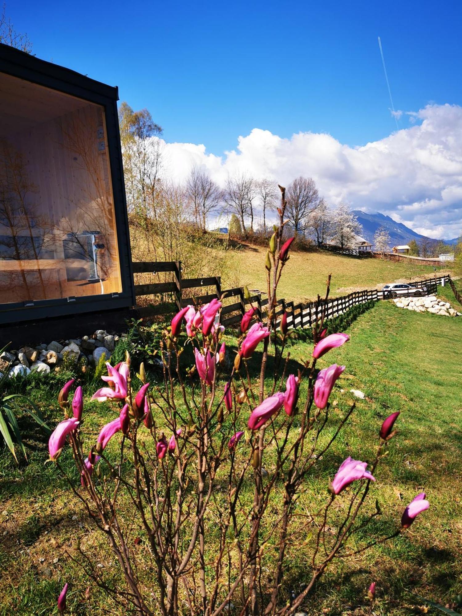 Doza De Verde Retreat&Spa Bran-Adults Only Sohodol  Екстериор снимка