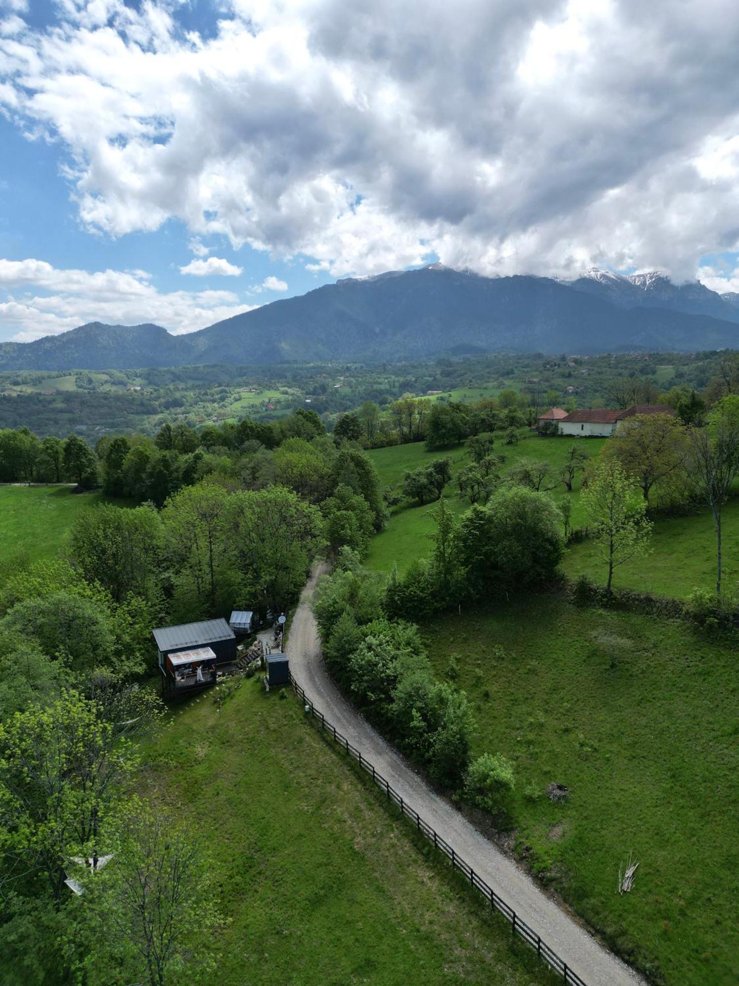 Doza De Verde Retreat&Spa Bran-Adults Only Sohodol  Екстериор снимка